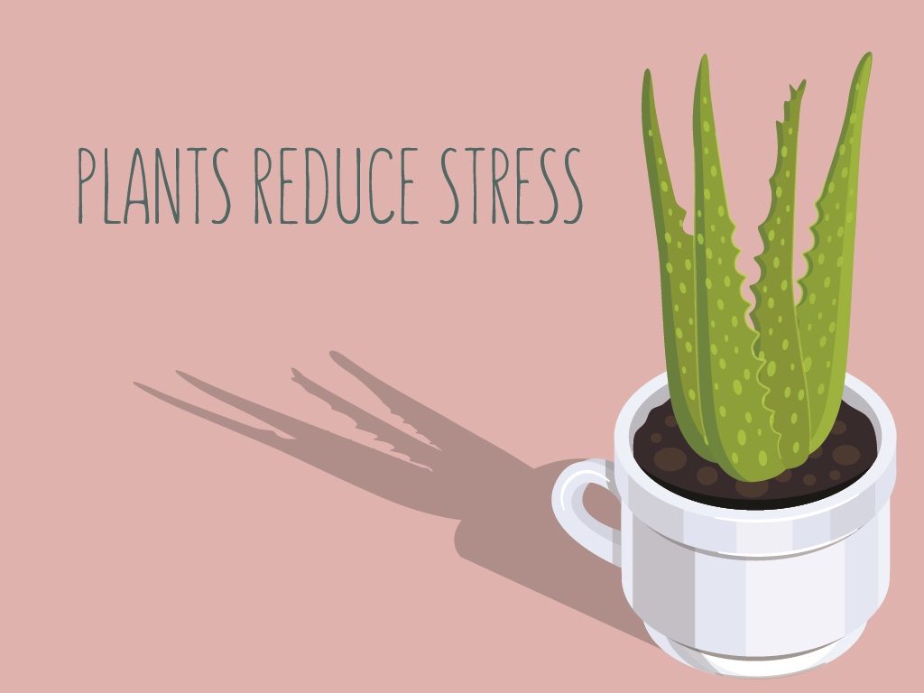 Plants Reduce Stress